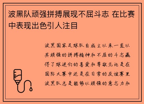 波黑队顽强拼搏展现不屈斗志 在比赛中表现出色引人注目