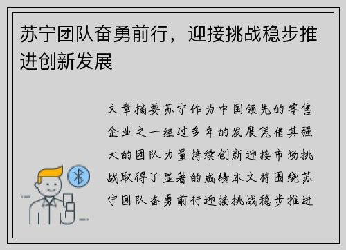 苏宁团队奋勇前行，迎接挑战稳步推进创新发展